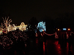106 Toledo Zoo Light Show [2008 Dec 27]